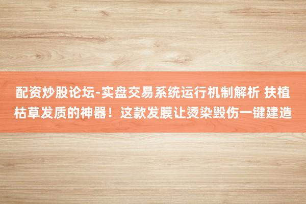 配资炒股论坛-实盘交易系统运行机制解析 扶植枯草发质的神器！这款发膜让烫染毁伤一键建造