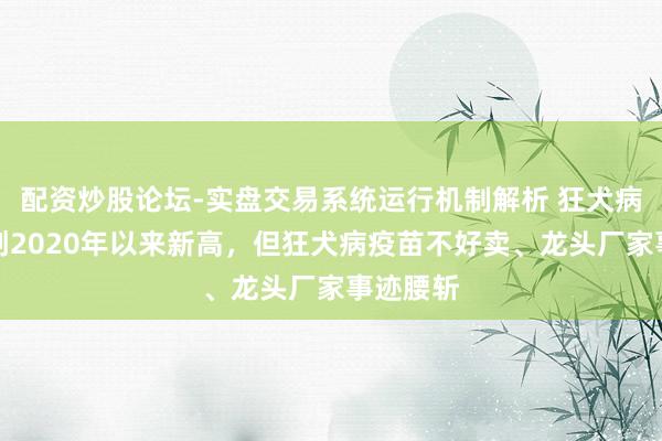配资炒股论坛-实盘交易系统运行机制解析 狂犬病归天数创2020年以来新高，但狂犬病疫苗不好卖、龙头厂家事迹腰斩