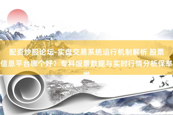 配资炒股论坛-实盘交易系统运行机制解析 股票信息平台哪个好？专科股票数据与实时行情分析保举