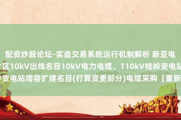 配资炒股论坛-实盘交易系统运行机制解析 新亚电缆中标：增多鹅塘片区10kV出线名目10kV电力电缆、110kV桂岭变电站增容扩建名目(打算变更部分)电缆采购【重新采购】成交恶果公告