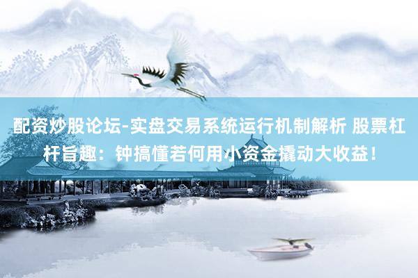 配资炒股论坛-实盘交易系统运行机制解析 股票杠杆旨趣：钟搞懂若何用小资金撬动大收益！