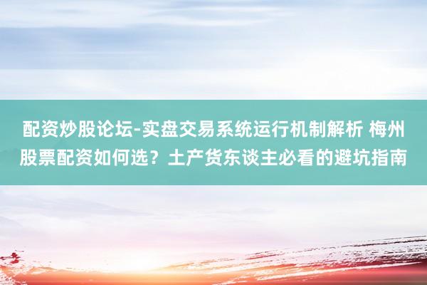 配资炒股论坛-实盘交易系统运行机制解析 梅州股票配资如何选？土产货东谈主必看的避坑指南