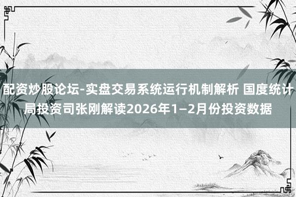 配资炒股论坛-实盘交易系统运行机制解析 国度统计局投资司张刚解读2026年1—2月份投资数据