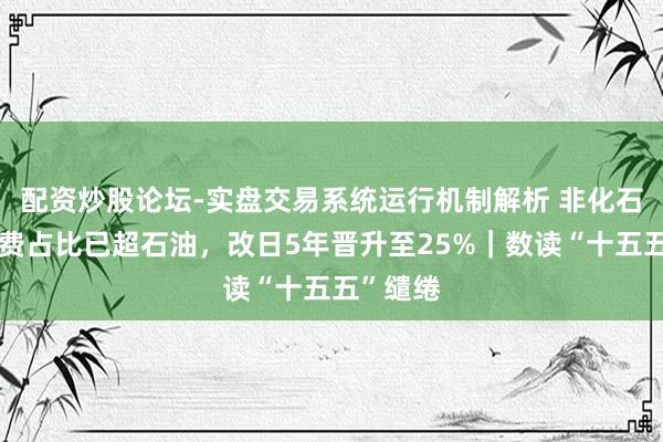 配资炒股论坛-实盘交易系统运行机制解析 非化石动力破费占比已超石油，改日5年晋升至25%｜数读“十五五”缱绻